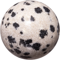 Dalmatian Jasper