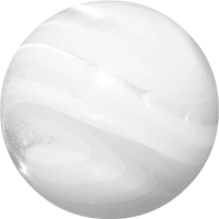 White Shell