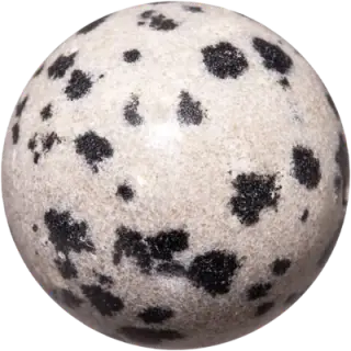 Dalmatian Jasper