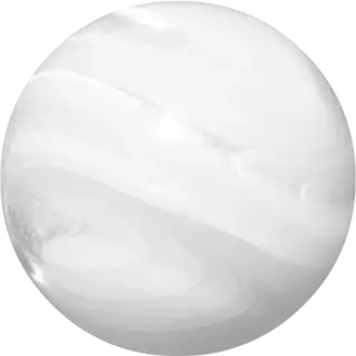 White Shell