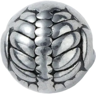Scale Armor Orb